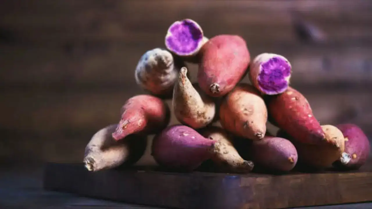 SunRoot™ Purple Sweet Ginger – Premium Culinary & Wellness Ingredient