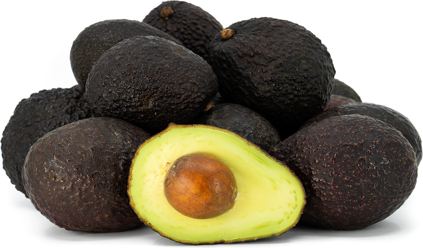 Fresh Hass Avocado – Export Quality