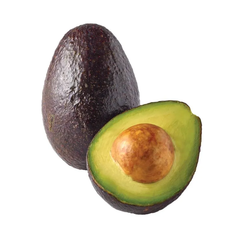 Fresh Hass Avocado – Export Quality
